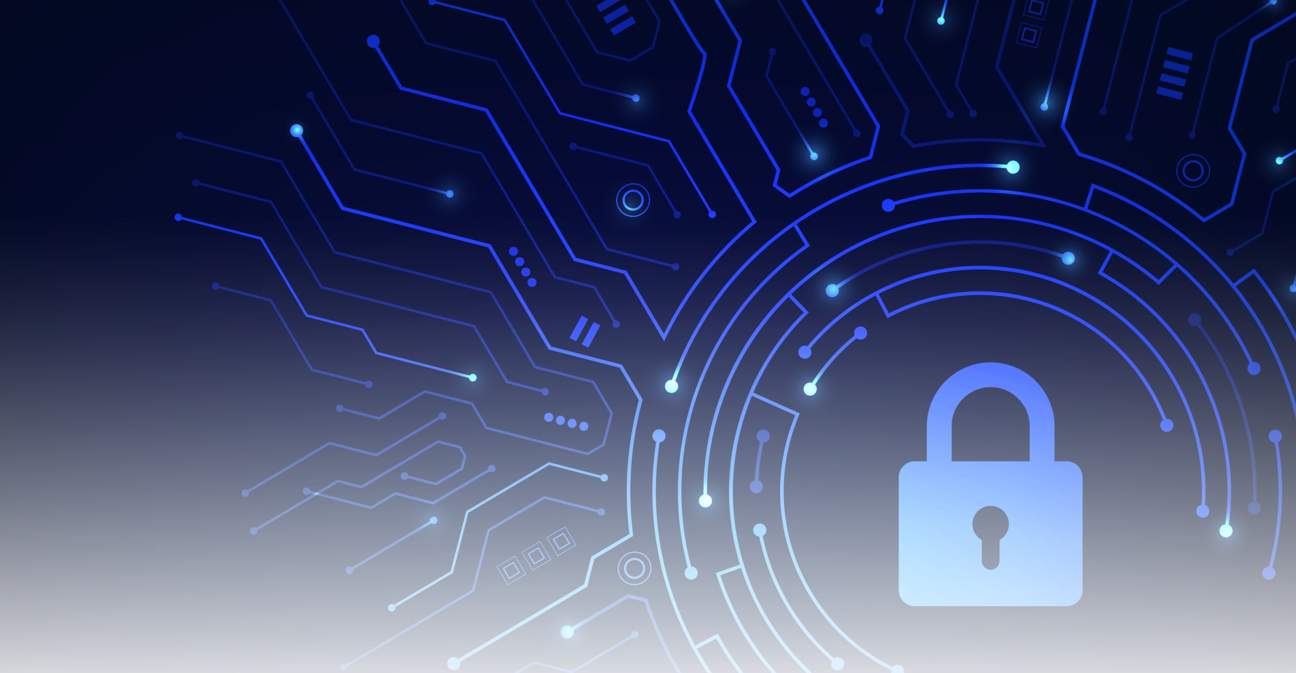 El impacto de las nuevas regulaciones: La privacidad de los datos