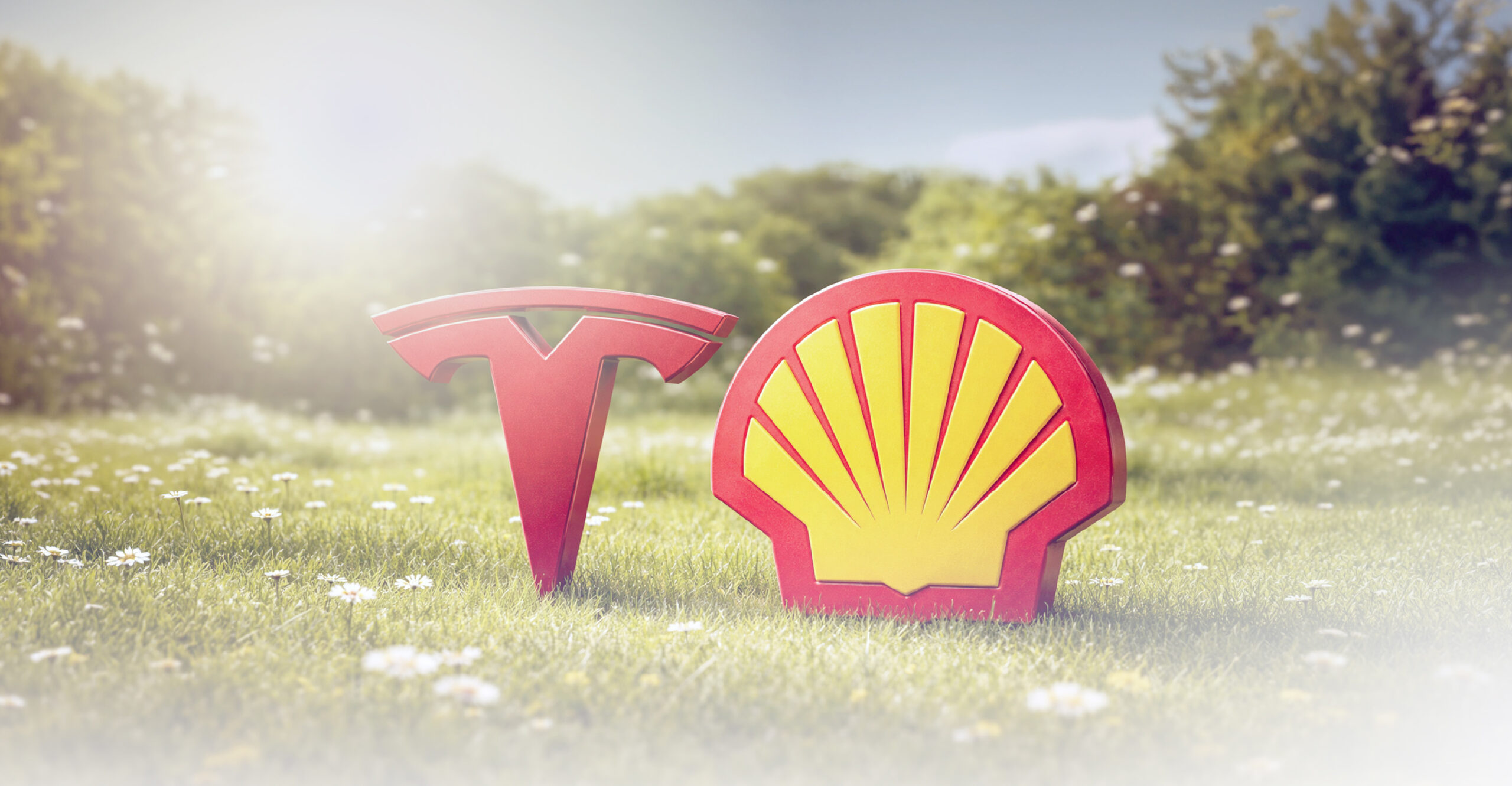 Acción climática en negocios: cómo Shell y Tesla lo abordan
